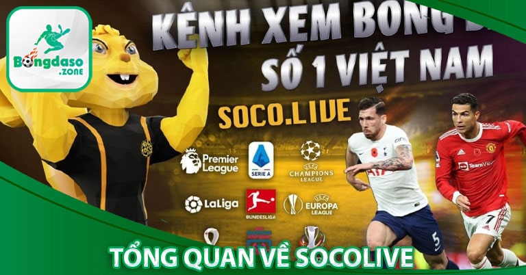 Tổng quan về trang chủ Socolive 15