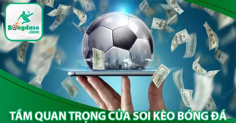 Tầm quan trọng của soi kèo bóng đá trong cá cược