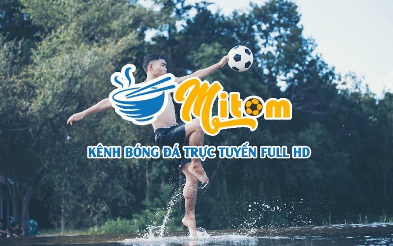 MitomTV đổi tên miền chính thức